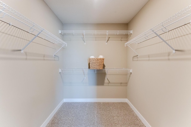 walk in closet featuring carpet flooring