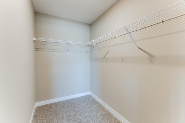 walk in closet featuring carpet floors