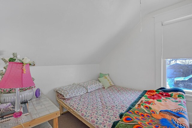 bedroom with lofted ceiling