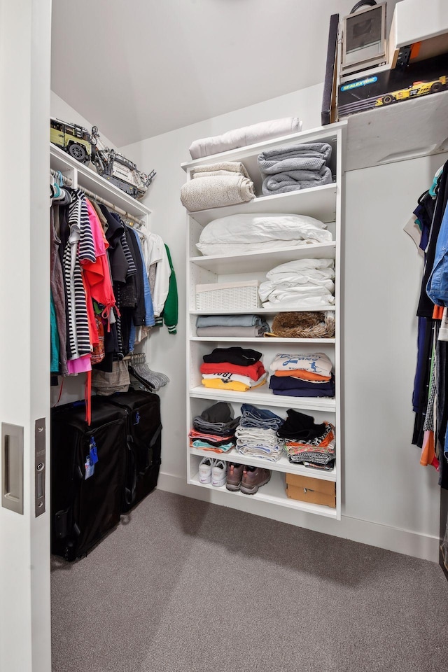 walk in closet featuring carpet flooring