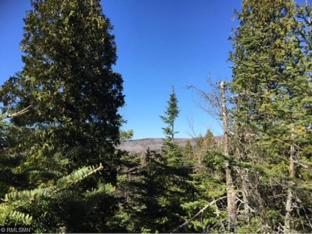 4607 Lax Lake Rd, Beaver Bay Twp, MN 55614