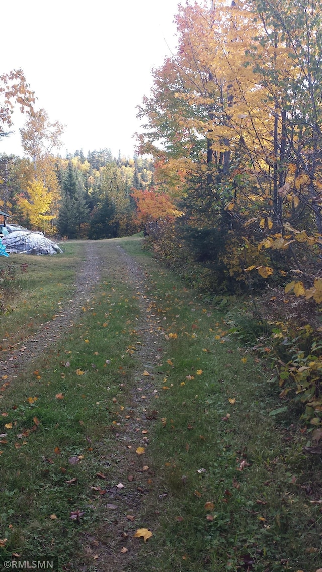 4607 Lax Lake Rd, Beaver Bay Twp, MN 55614
