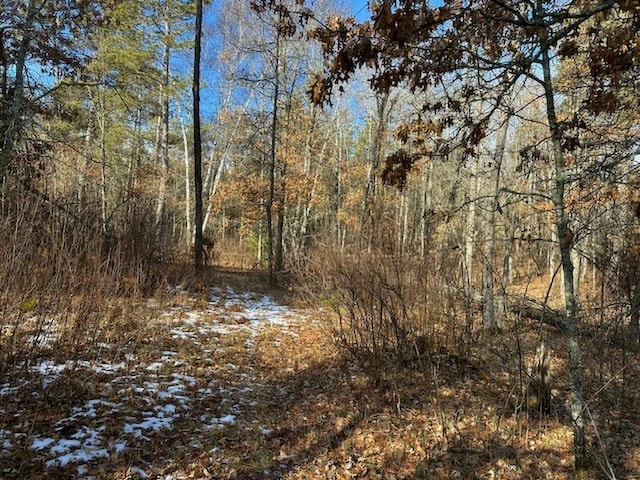 Listing photo 3 for TBD Wildwood Ave, Nevis MN 56467