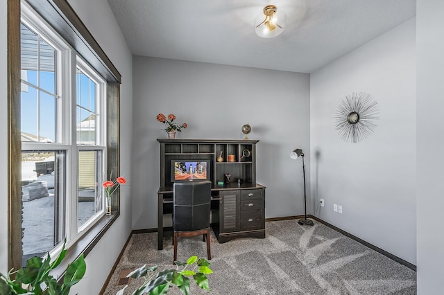 office featuring carpet flooring