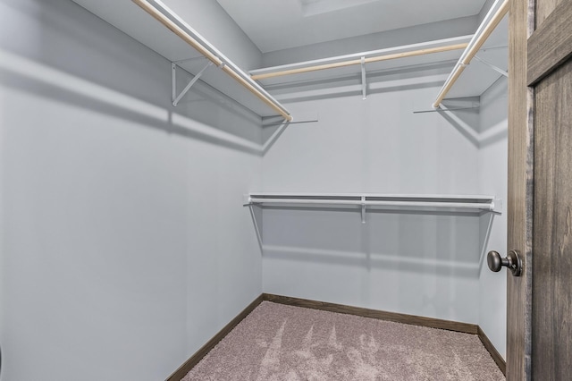 walk in closet featuring carpet