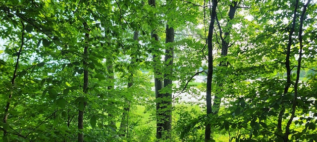 TBD Lakeview Dr, Cushing, MN 56443