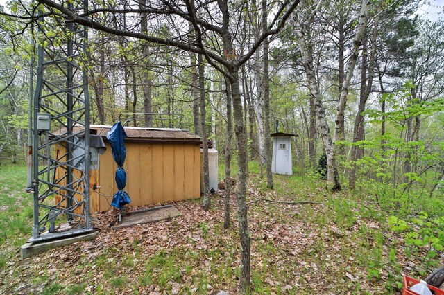 view of yard with a storage unit