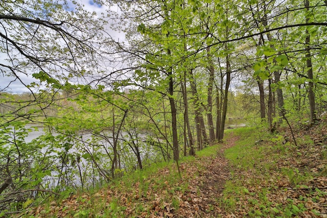 view of landscape with a water view