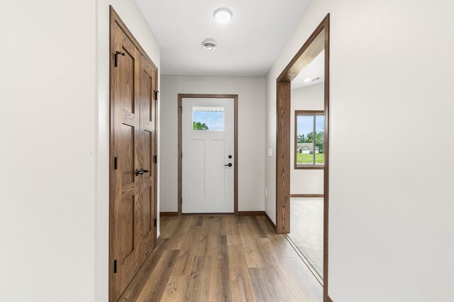 entryway with hardwood / wood-style floors and a wealth of natural light