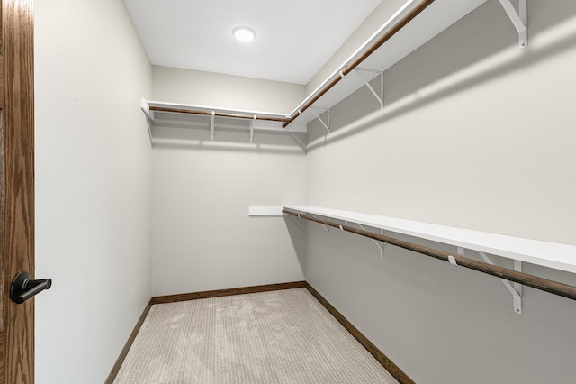 spacious closet with light colored carpet