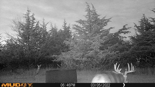 Listing photo - caption unavailable