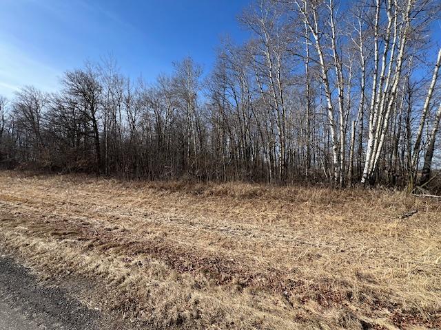 Listing photo 2 for XXX Dove Rd, Little Falls MN 56345