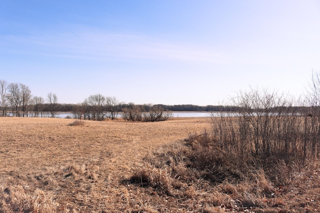 Listing photo 3 for XXX Rice Lake Dr, Waseca MN 56093