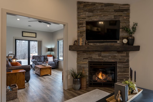 living room featuring a fireplace and hardwood / wood-style flooring