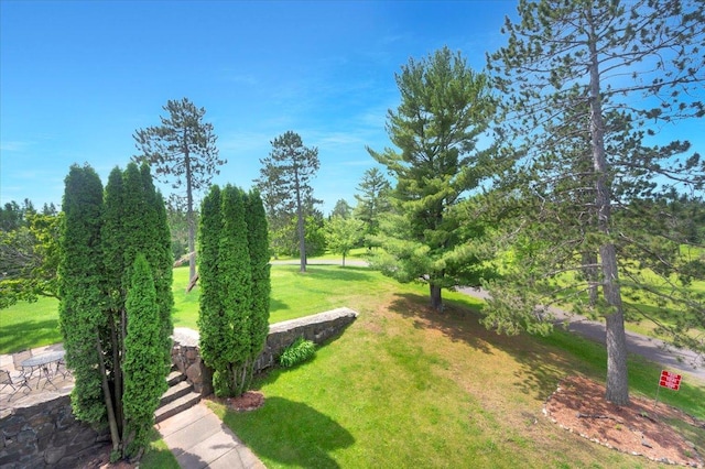 view of community featuring a lawn