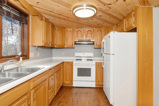 kitchen with sink, hardwood / wood-style floors, wood ceiling, and white appliances