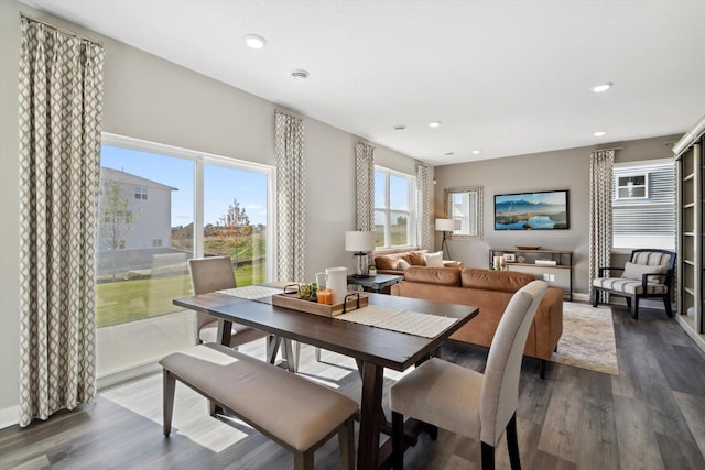 dining space featuring dark wood-type flooring