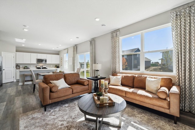 living room featuring dark wood-type flooring