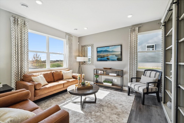 living room featuring hardwood / wood-style flooring