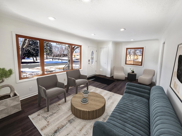 living room featuring dark wood-type flooring and plenty of natural light