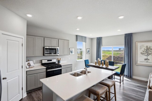 kitchen featuring sink, gray cabinets, stainless steel appliances, dark hardwood / wood-style floors, and an island with sink