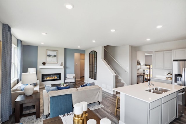 living room featuring sink and dark wood-type flooring