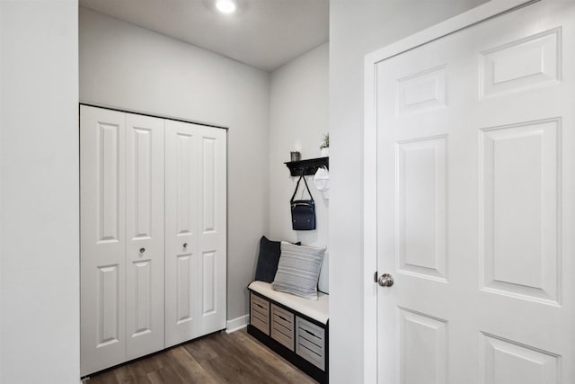 mudroom featuring dark hardwood / wood-style floors