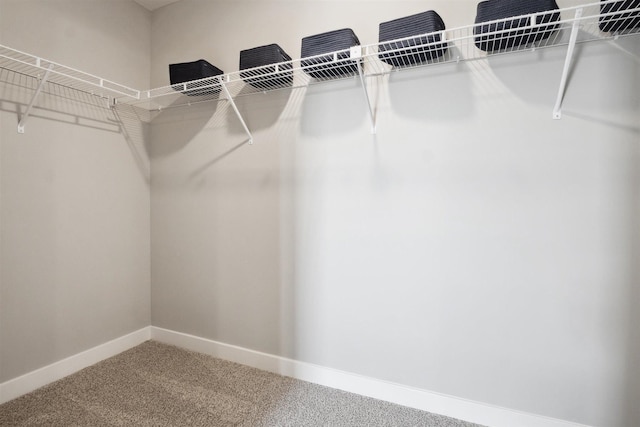 walk in closet with carpet