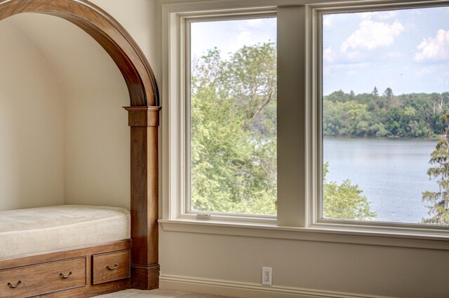 bedroom featuring multiple windows and a water view