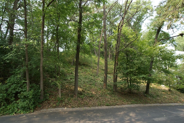 1408 Alpine Pass, Golden Valley, MN 55416 - photo 3