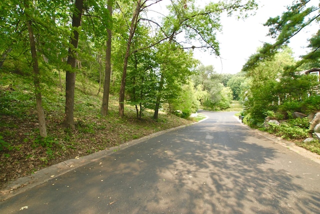 1408 Alpine Pass, Golden Valley, MN 55416 - photo 4