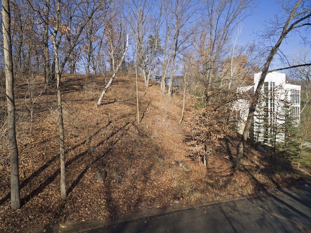 1408 Alpine Pass, Golden Valley, MN 55416 - photo 17