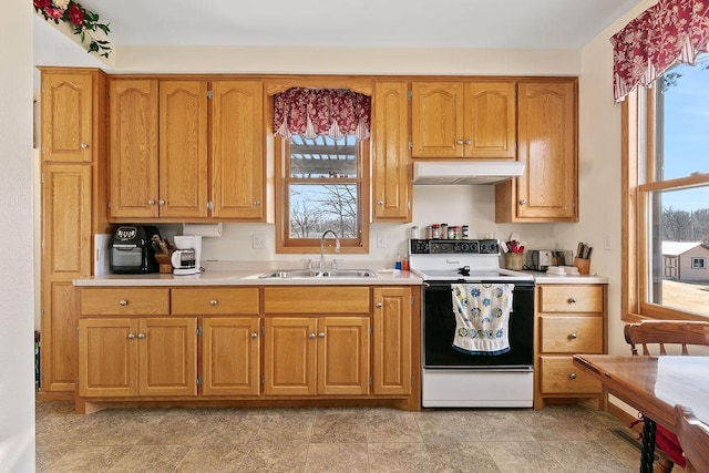 kitchen with white electric range and sink