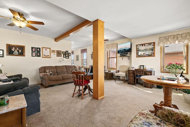 living room featuring ceiling fan, beamed ceiling, plenty of natural light, and carpet flooring