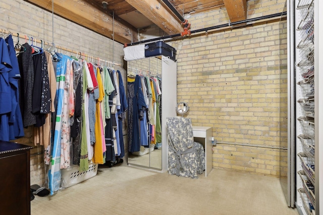 spacious closet featuring light colored carpet