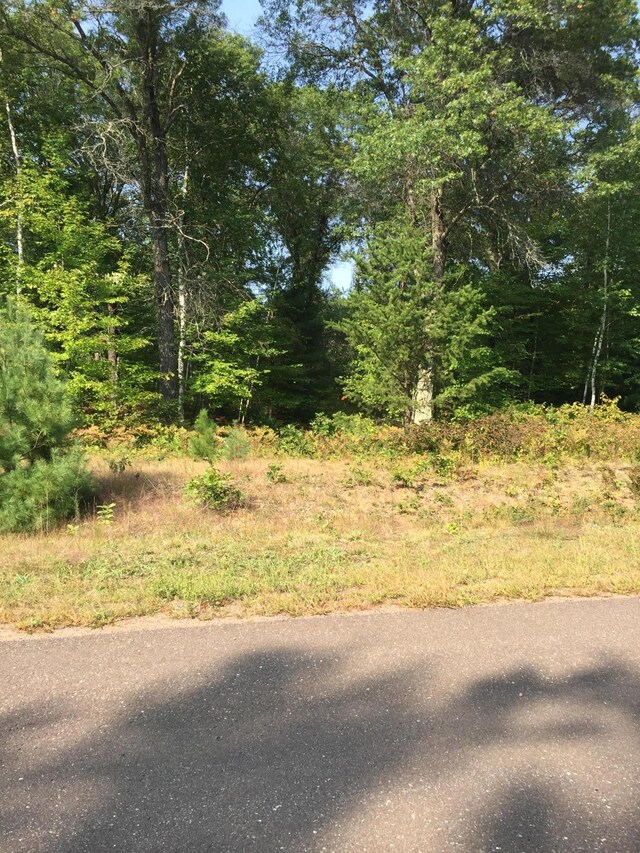 LOT13 Shady Ln, Siren, WI 54872 - photo 5