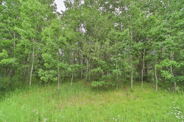 Listing photo 3 - caption unavailable