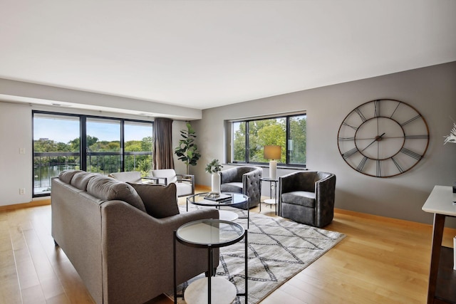 living room featuring light hardwood / wood-style floors and a water view