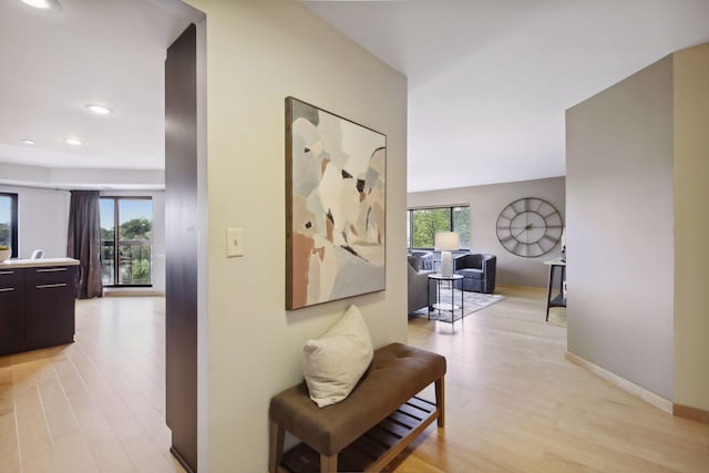 hall featuring light hardwood / wood-style floors and a wealth of natural light