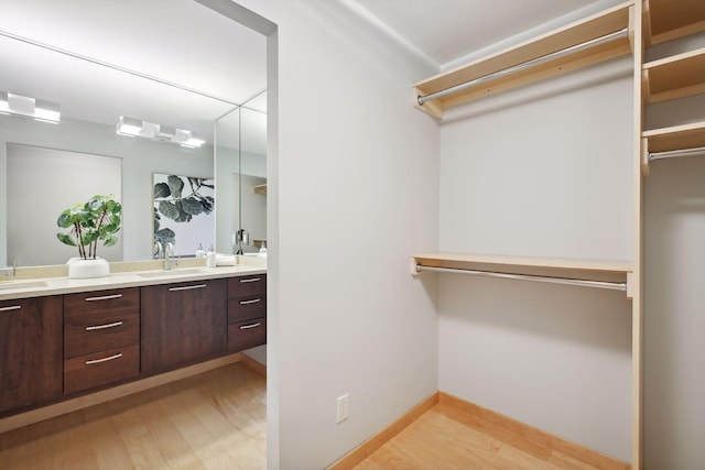 spacious closet featuring sink and light hardwood / wood-style floors