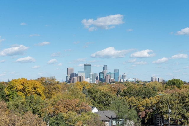 property's view of city