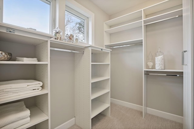 spacious closet featuring light carpet