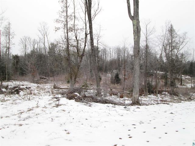 Listing photo 2 for xxx County Rd L, Hawthorne WI 54874