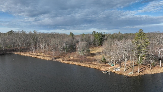 N2383 Loons Landing Rd, Rusk Twp, WI 54895