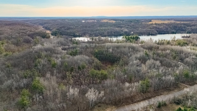N2383 Loons Landing Rd, Rusk Twp, WI 54895