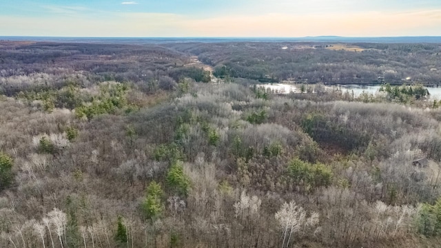 N2383 Loons Landing Rd, Rusk Twp, WI 54895