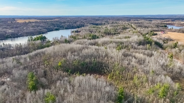 N2383 Loons Landing Rd, Rusk Twp, WI 54895