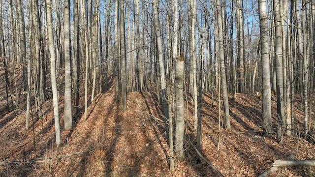 N2383 Loons Landing Rd, Rusk Twp, WI 54895