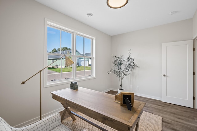 office space featuring dark hardwood / wood-style flooring