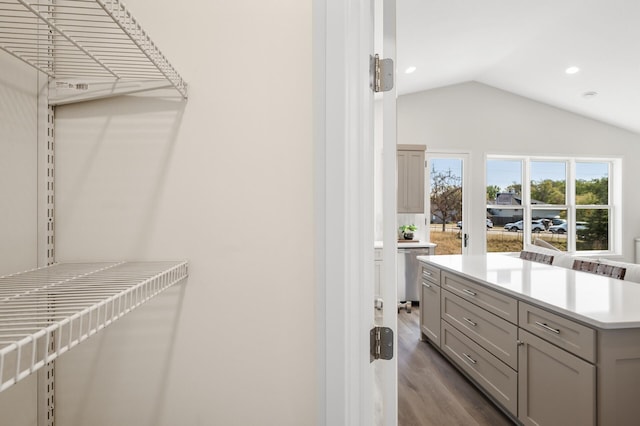 walk in closet with lofted ceiling and hardwood / wood-style floors